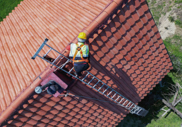 Best Emergency Roof Repair Services  in Laurel, DE